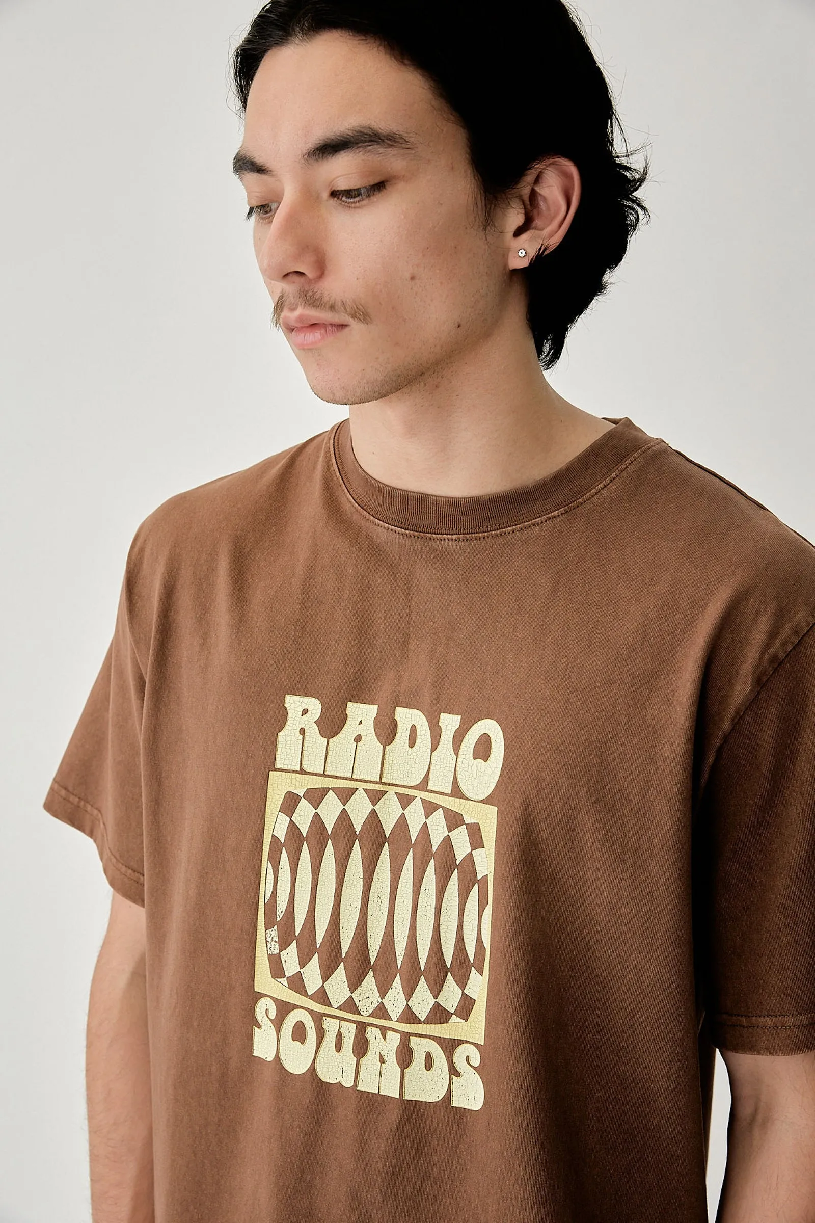 Interrupted Vintage Ss T-Shirt Brown