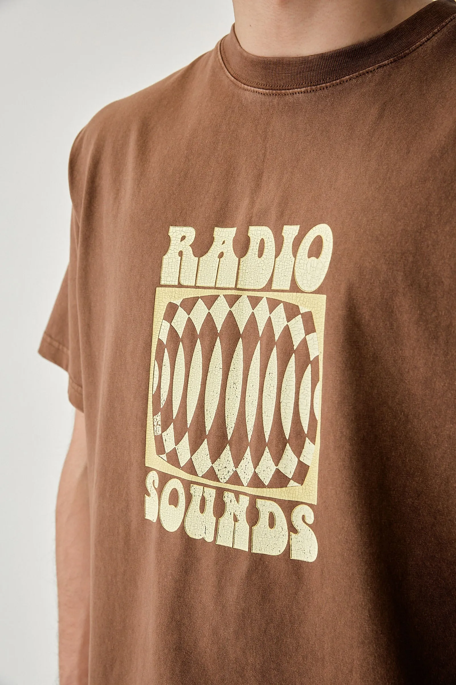 Interrupted Vintage Ss T-Shirt Brown